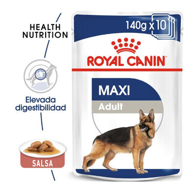 Royal Canin Maxi Adult Carne saqueta em molho para cães
